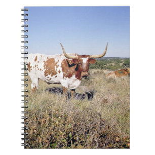 Texas Longhorn Breed (photo) Notebook