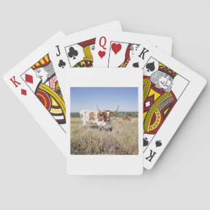 Texas Longhorn Breed (photo) Playing Cards