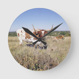 Texas Longhorn Breed (photo) Round Clock
