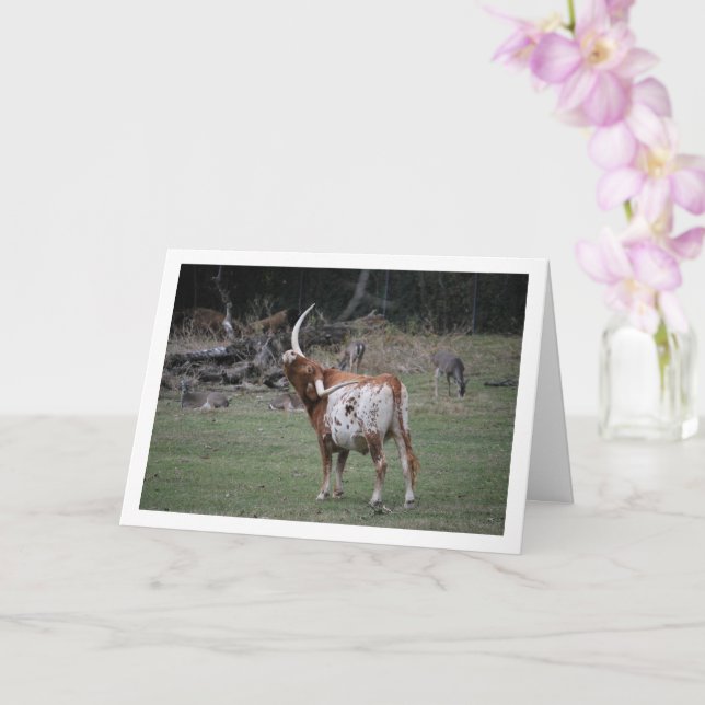 Texas Longhorn Cattle Card (Orchid)