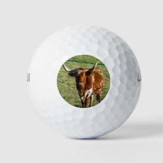 Texas Longhorn Cattle Cow Photo Rustic Golf Balls