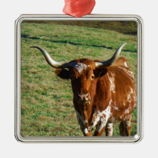 Texas Longhorn Cattle Cow Photo Rustic Metal Ornament