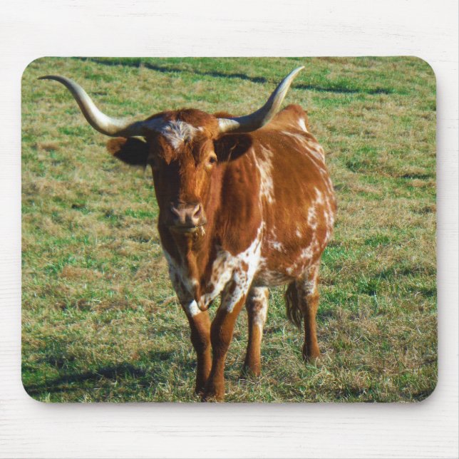 Texas Longhorn Cattle Cow  Photo Rustic Mouse Pad (Front)