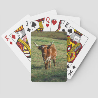 Texas Longhorn Cattle Cow Photo Rustic Playing Cards