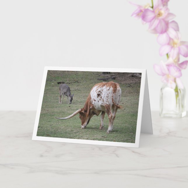 Texas Longhorn Cattle Grazing Card (Orchid)