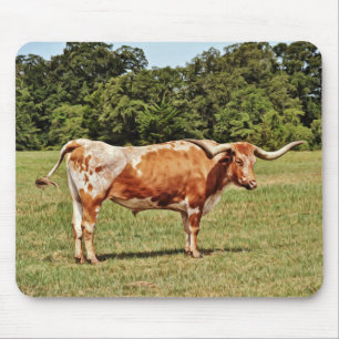 Texas Longhorn Cow Art Mouse Pad