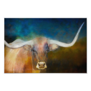 Texas Longhorn cow photography blue and rust  Photo Print