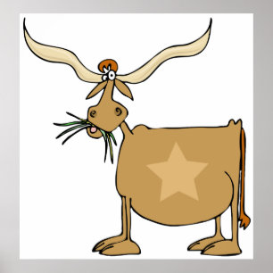 Texas Longhorn Cow Poster