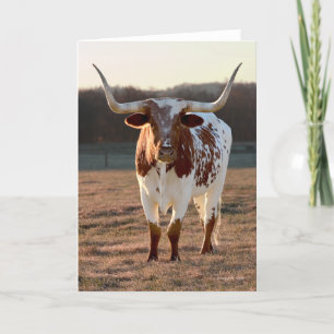 Texas Longhorn Note Card