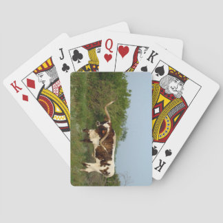 Texas Longhorn playing cards