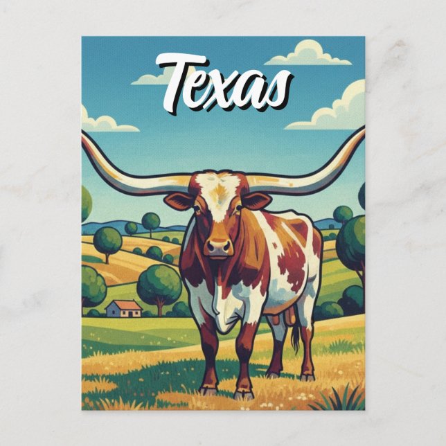 Texas longhorn postcard (Front)