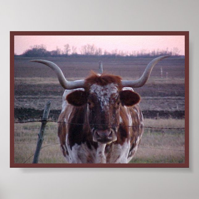 Texas Longhorn Poster (Front)