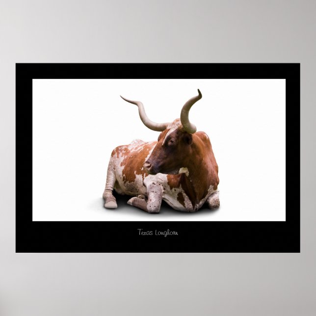 Texas Longhorn Poster Print (Front)