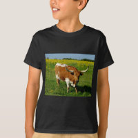 Texas Longhorn