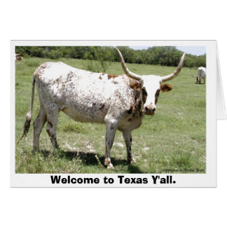 Texas Longhorn, Welcome to Texas Y'all.