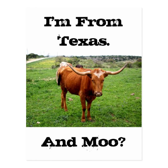 Texas Longhorn With Funny Texas Saying Postcard