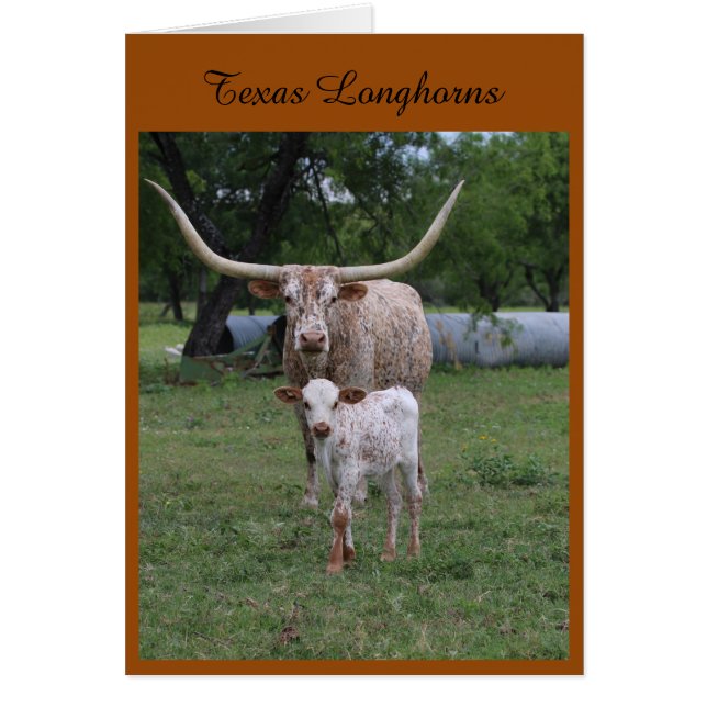 Texas Longhorns (Front)