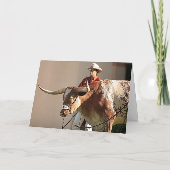 Texas Longhorns Post Card (Front)