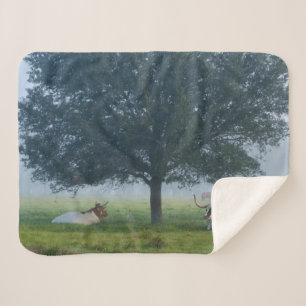 TEXAS LONGHORNS SHERPA BLANKET