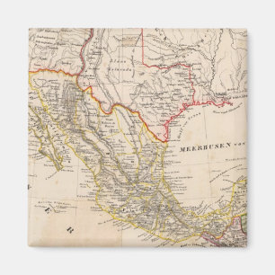 Texas, Mexico Magnet