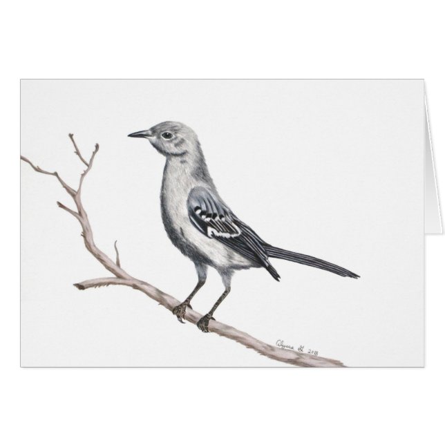 Texas Mockingbird Inspirational Small Card (Front Horizontal)