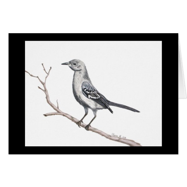 Texas Mockingbird Small Card (Front Horizontal)