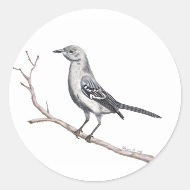Texas Mockingbird Sticker (Front)