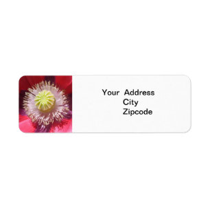 Texas Pink Skullcap Address Label Return Address Label