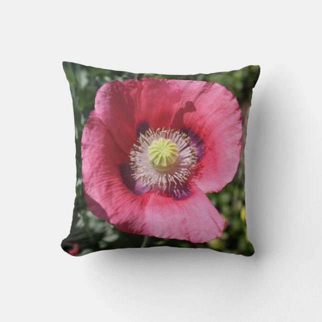 Texas Pink Skullcap Pillow (Front)
