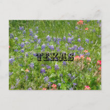 TEXAS Postcard
