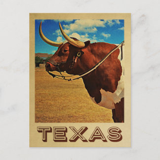 Texas Postcard Bull Vintage Travel Cattle Ranch