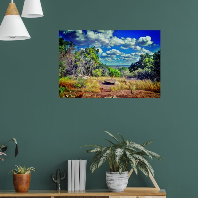 Texas  poster (Living Room 1)