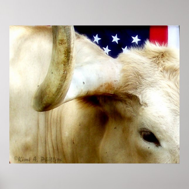 Texas Proud Poster (Front)