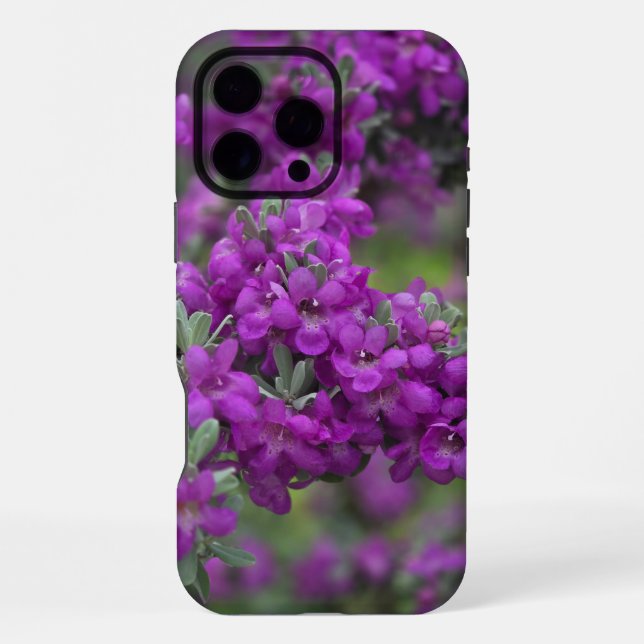 Texas Sage Iphone Case (Back)