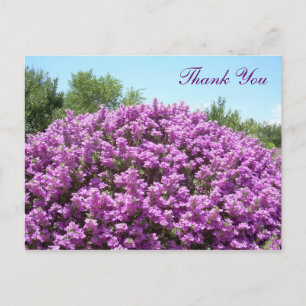 Texas Sage Thank You Postcard