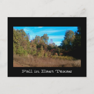 Texas Series Postcard