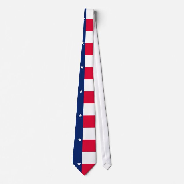 Texas State Flag Design Tie (Front)
