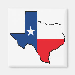 Texas State Flag Magnet