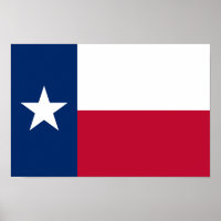 Texas State Flag