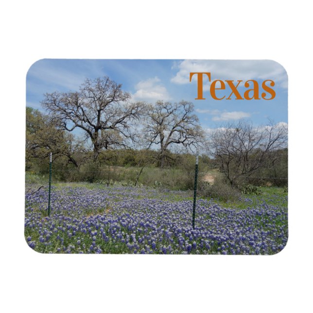 Texas State Flower Bluebonnets Magnet (Horizontal)