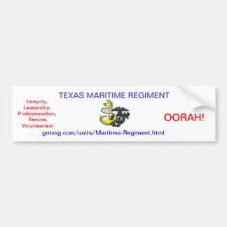 Texas State Guard Bumper Sticker