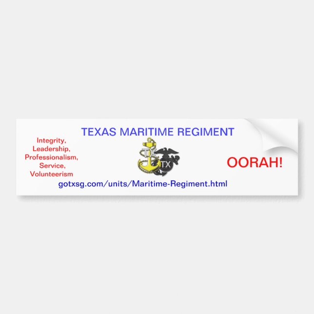 Texas State Guard Bumper Sticker (Front)