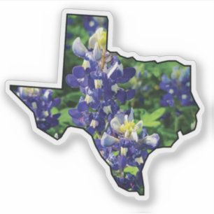Texas State Outline with Bluebonnets