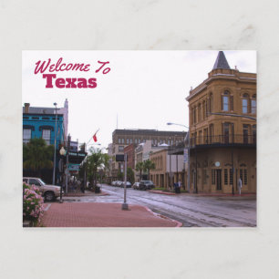 Texas State Postcard