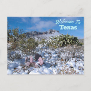Texas State Postcard