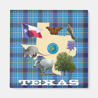 Texas State Symbols Magnet