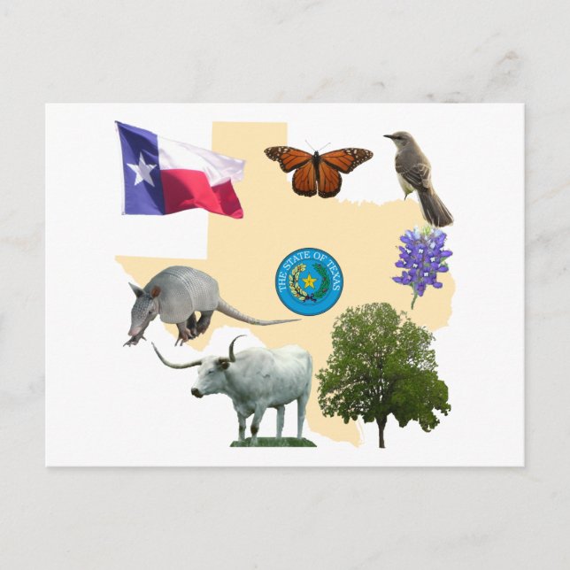 Texas State Symbols Postcard (Front)