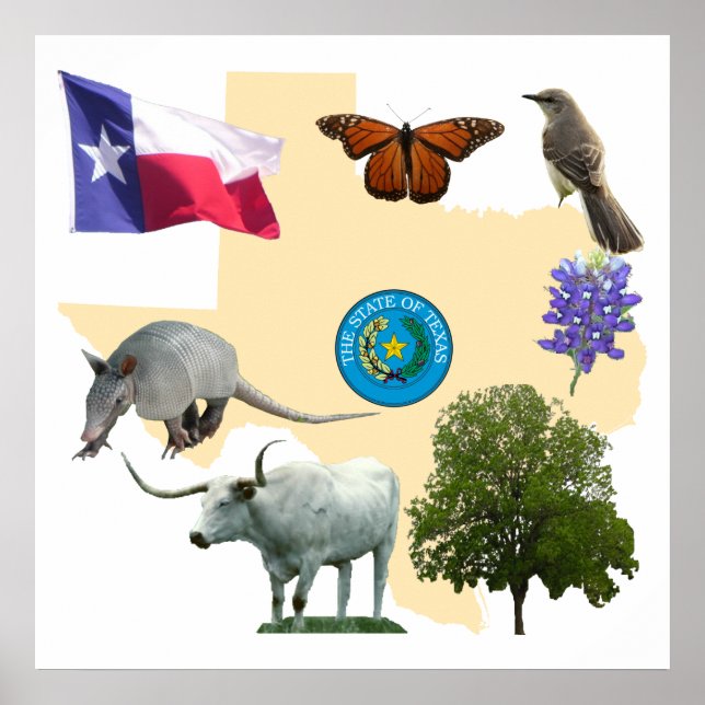 Texas State Symbols Poster (Front)