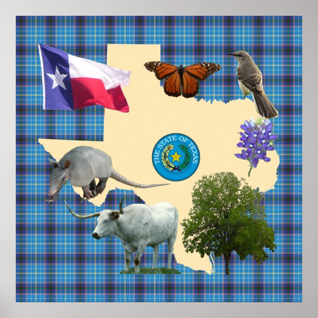 Texas State Symbols Poster (Front)