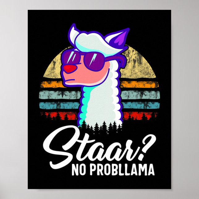 Texas State Test Day Llama Alpaca For Students  Poster (Front)